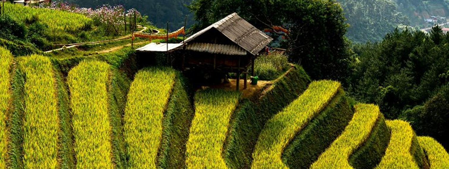 Philippines
