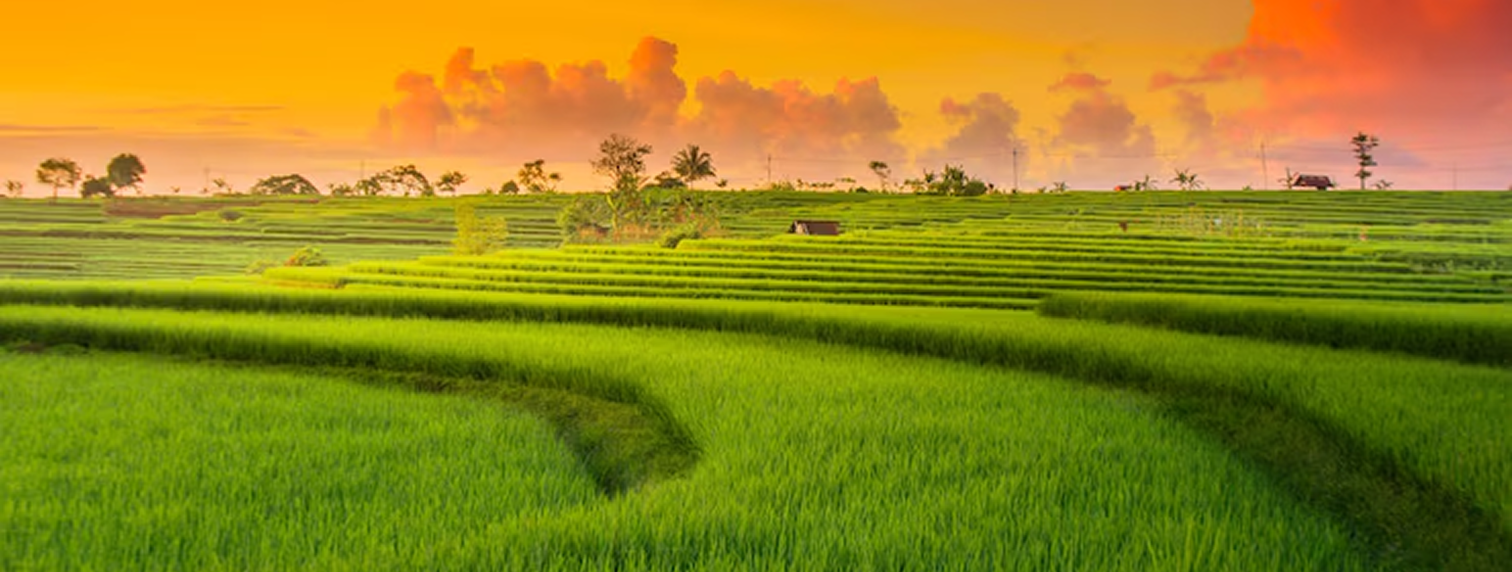 Myanmar