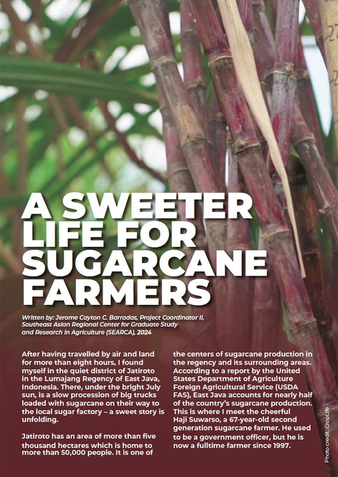 A Sweeter Life for Sugarcane Farmers